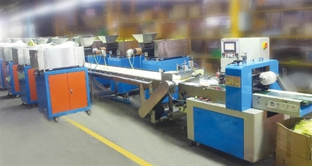 瑞安市華源包裝機(jī)械廠