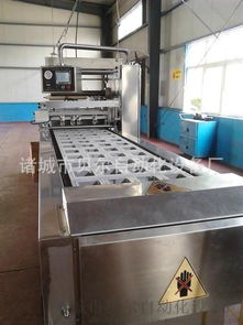 中國氣調(diào)包裝機排名前三品牌 貝爾全自動盒式包裝機及其應(yīng)用